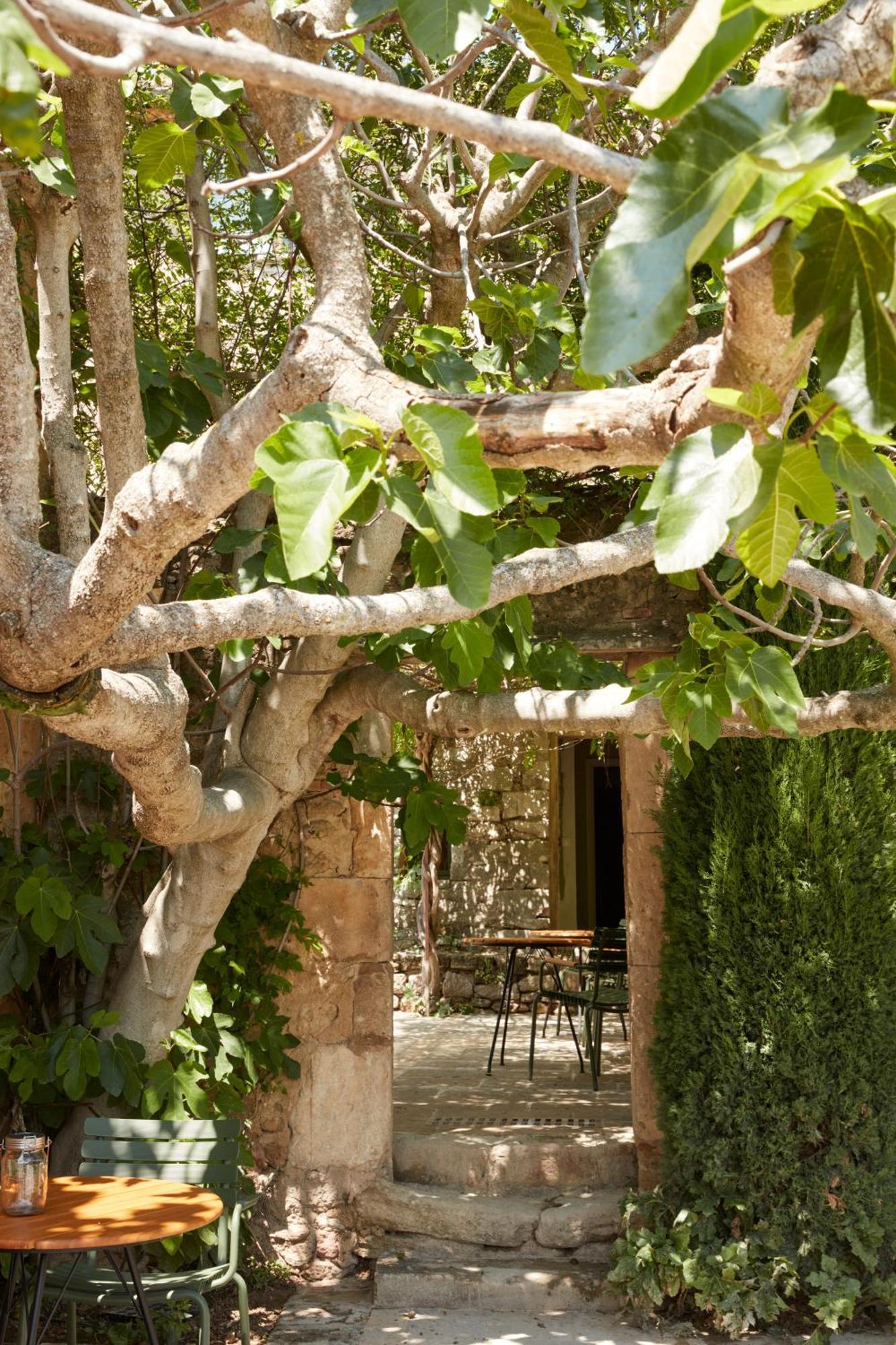 La Bastide Du Mourre Bed & Breakfast Oppède Eksteriør bilde